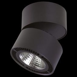 Светодиодный спот Lightstar 213817