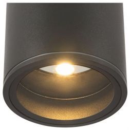 Уличный светодиодный светильник Maytoni O306CL-L7GF