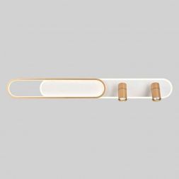 Потолочная светодиодная люстра Favourite Planar 4075-2C