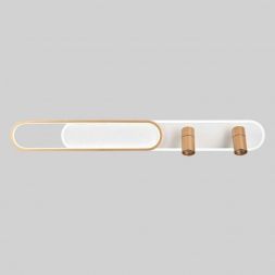 Потолочная светодиодная люстра Favourite Planar 4075-2C