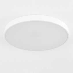 Светильник потолочный Citilux CL724105G0