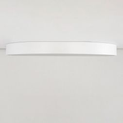 Светильник потолочный Citilux CL724105G0