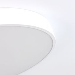 Светильник потолочный Citilux CL724105G0