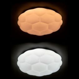 Потолочный светодиодный светильник Arte Lamp A2676PL-72WH