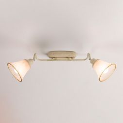 Спот поворотный Citilux CL511524