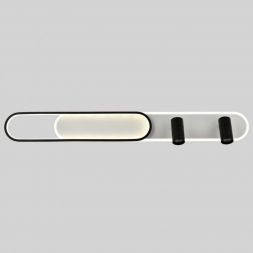 Потолочная светодиодная люстра Favourite Planar 4076-2C