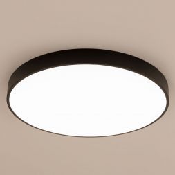 Светильник потолочный Citilux CL724105G1