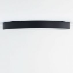 Светильник потолочный Citilux CL724105G1
