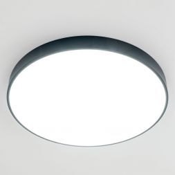 Светильник потолочный Citilux CL724105G1