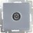 Розетка TV Werkel W1183006 серебро (WL06-TV)