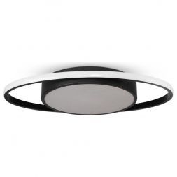 Потолочный светодиодный светильник Freya Cosmic FR10015CL-L62B
