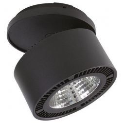 Светильник Lightstar 213847