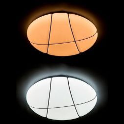 Потолочный светодиодный светильник Arte Lamp A2677PL-72CC