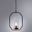 Подвесной светильник Arte Lamp Celaeno A7004SP-1BK