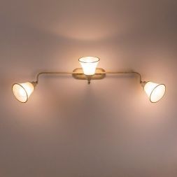 Спот поворотный Citilux CL511534