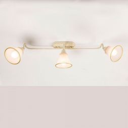 Спот поворотный Citilux CL511534