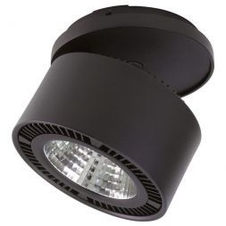Светодиодный спот Lightstar 214807