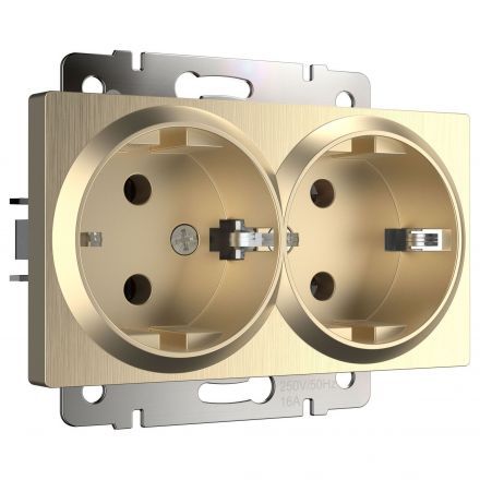 Розетка двойная с заземлением Werkel W1172010 шампань рифленый (WL10-SKG-02-IP20)