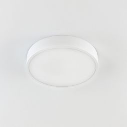Светильник потолочный Citilux CL72424V0