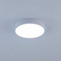 Светильник потолочный Citilux CL72424V0