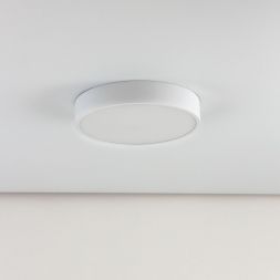 Светильник потолочный Citilux CL72424V0