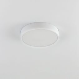 Светильник потолочный Citilux CL72424V0