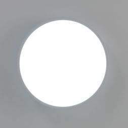 Светильник потолочный Citilux CL72424V0