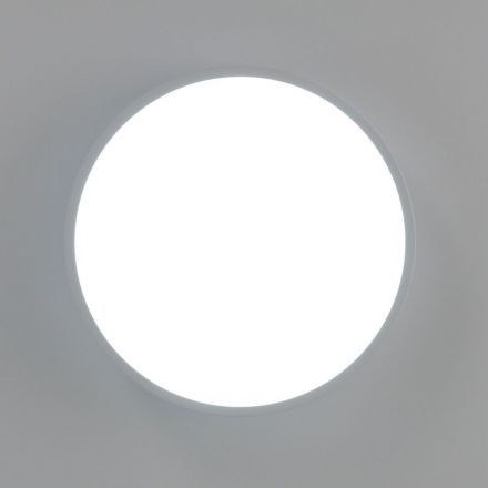 Светильник потолочный Citilux CL72424V0