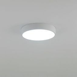 Светильник потолочный Citilux CL72424V0