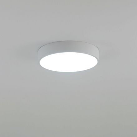 Светильник потолочный Citilux CL72424V0