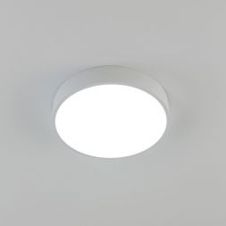 Светильник потолочный Citilux CL72424V0