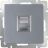 Розетка ТФ Werkel RJ-11 W1182006 серебро (WL06-RJ-11)