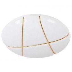 Потолочный светодиодный светильник Arte Lamp A2677PL-72GO