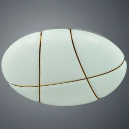 Потолочный светодиодный светильник Arte Lamp A2677PL-72GO