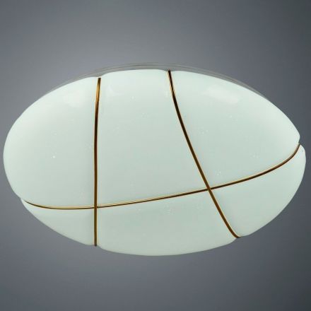 Потолочный светодиодный светильник Arte Lamp A2677PL-72GO