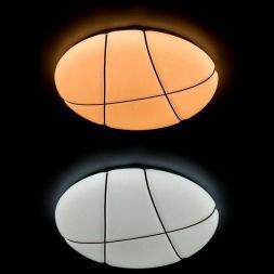 Потолочный светодиодный светильник Arte Lamp A2677PL-72GO