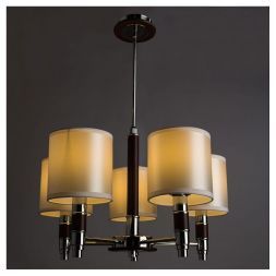 Люстра потолочная Arte Lamp A9519LM-5BR