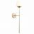 Бра ST Luce SL1504.201.01 Avellino