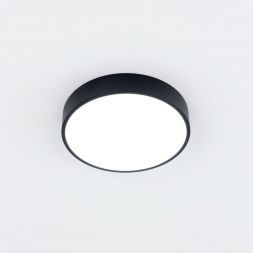 Светильник потолочный Citilux CL72424V1