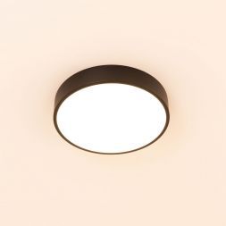 Светильник потолочный Citilux CL72424V1