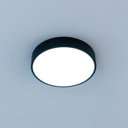 Светильник потолочный Citilux CL72424V1