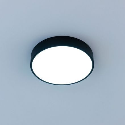 Светильник потолочный Citilux CL72424V1