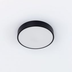 Светильник потолочный Citilux CL72424V1