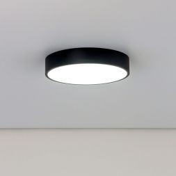 Светильник потолочный Citilux CL72424V1