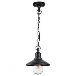 Уличный подвесной светильник Odeon Light 4965/1 Campa