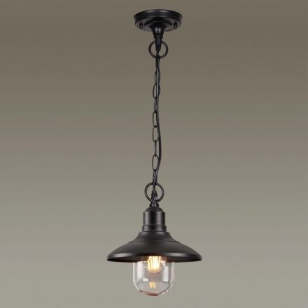 Уличный подвесной светильник Odeon Light 4965/1 Campa
