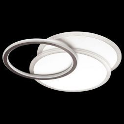 Потолочный светодиодный светильник Lumion 4502/85CL