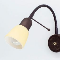 Бра поворотное Citilux CL506314
