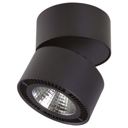 Светодиодный спот Lightstar 214817
