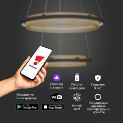 Светодиодный светильник Eurosvet 90241/2 черный/ золото Smart Умный дом